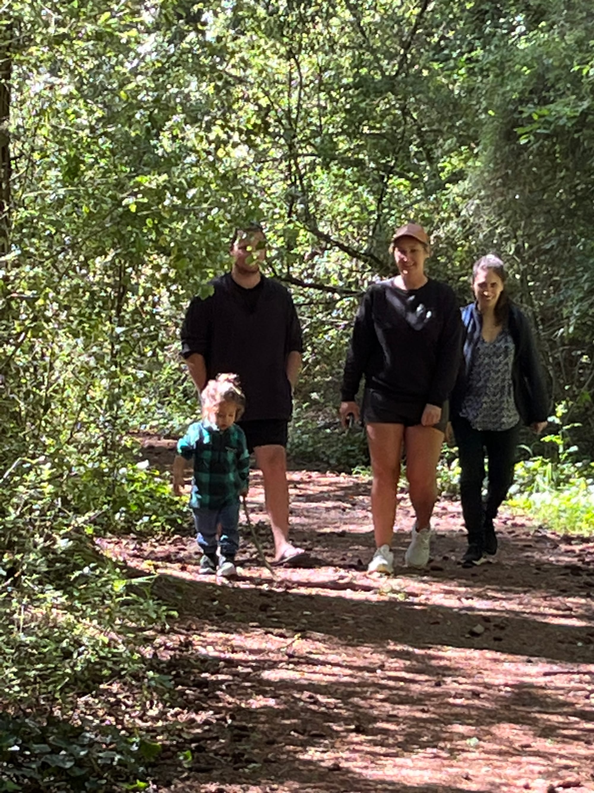 Fairy forest Darfield